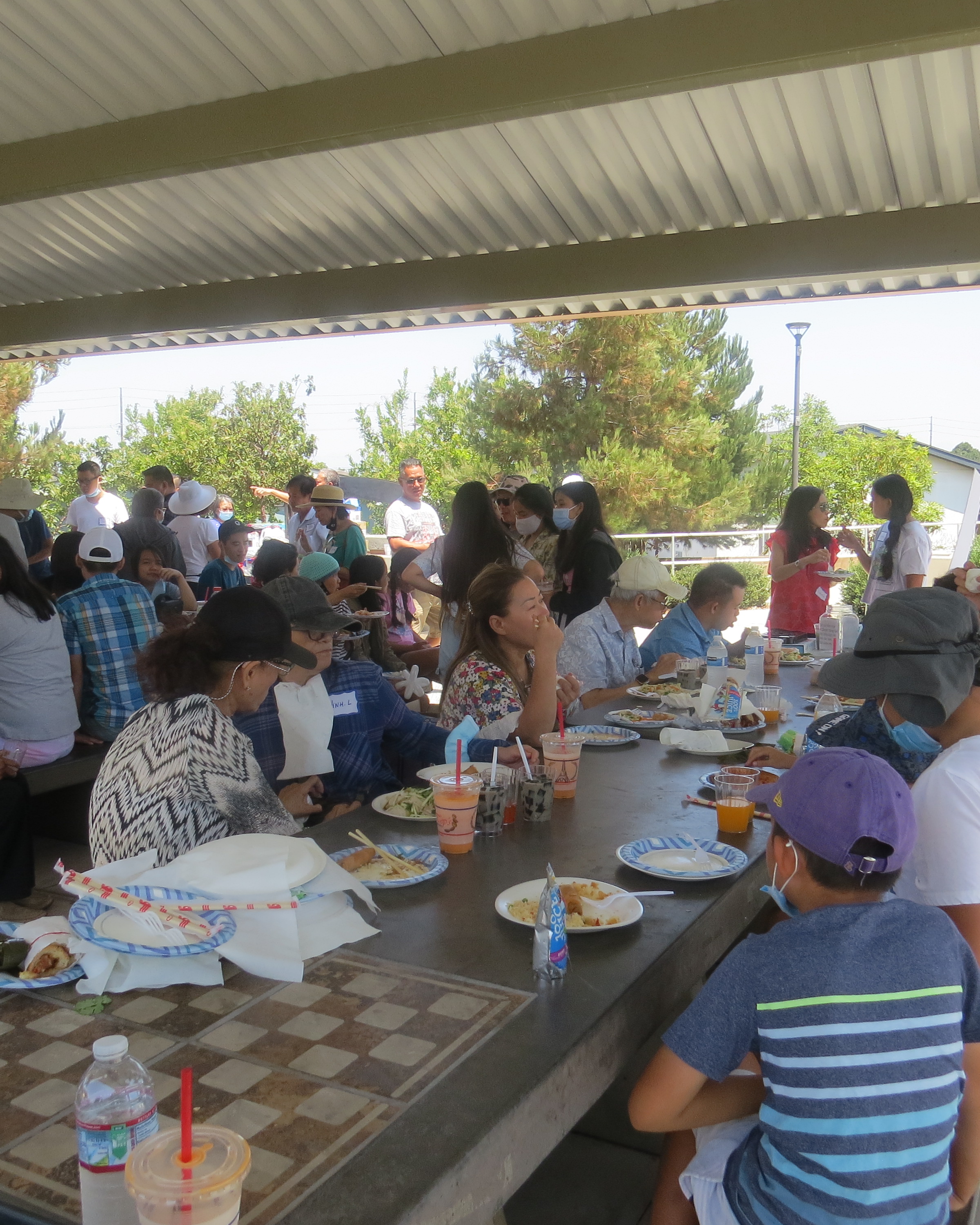 Picnic Picture